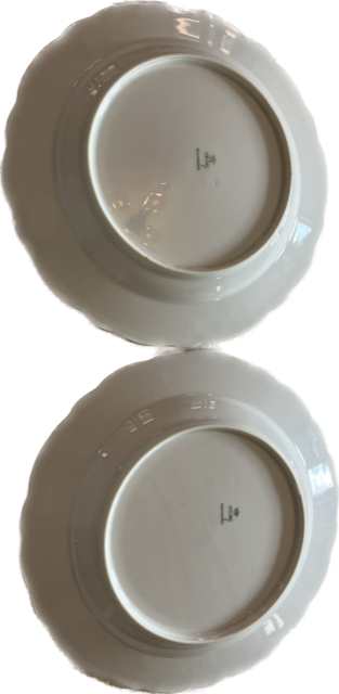 Mělký talíř porcelánka Thun cibulák